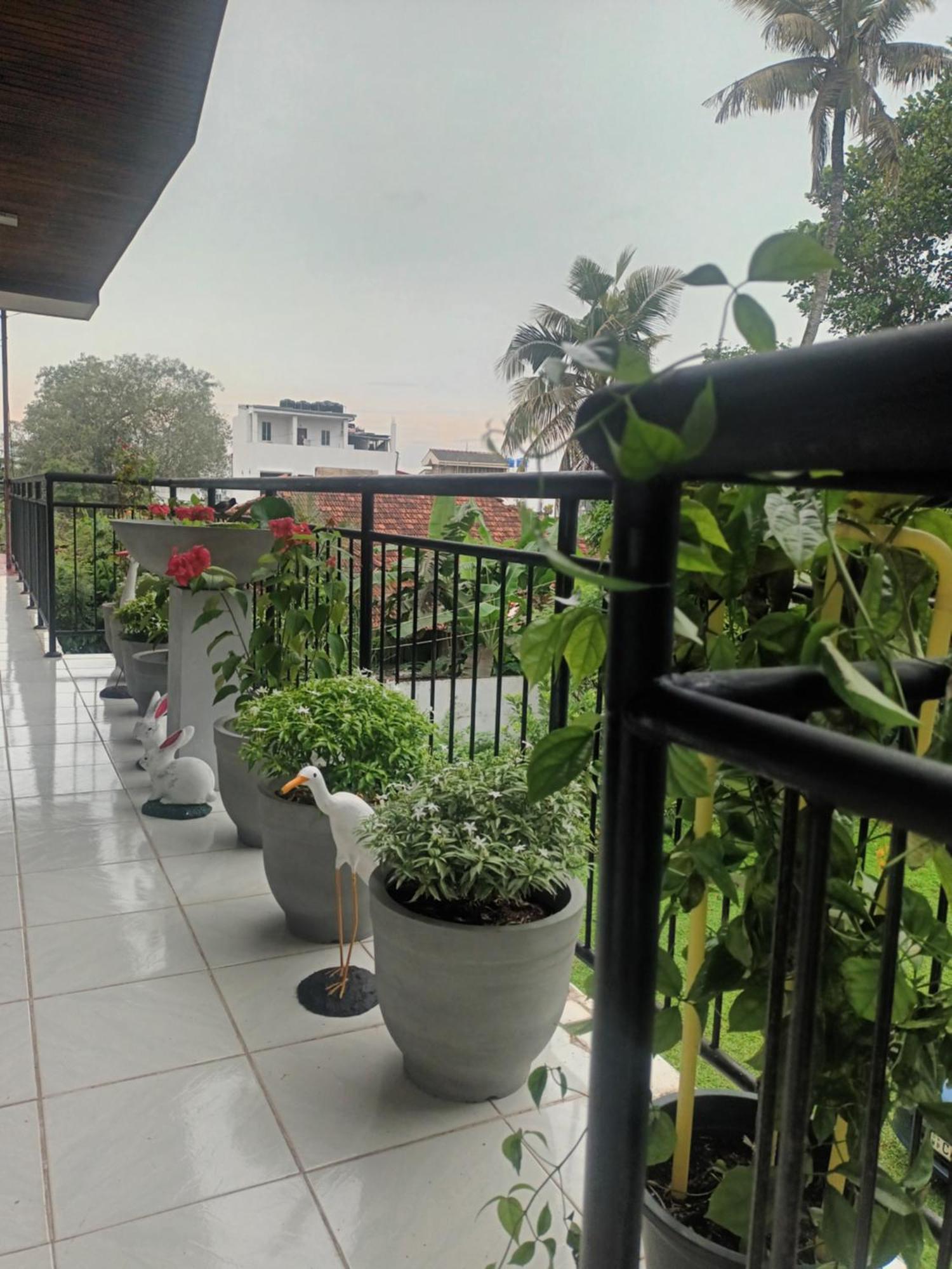 Lovely Flowers In Mount Lavinia Dehiwala-Mount Lavinia Exterior photo
